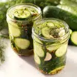 Garlic and Dill 24-Hour Refrigerator Pickles Recipe