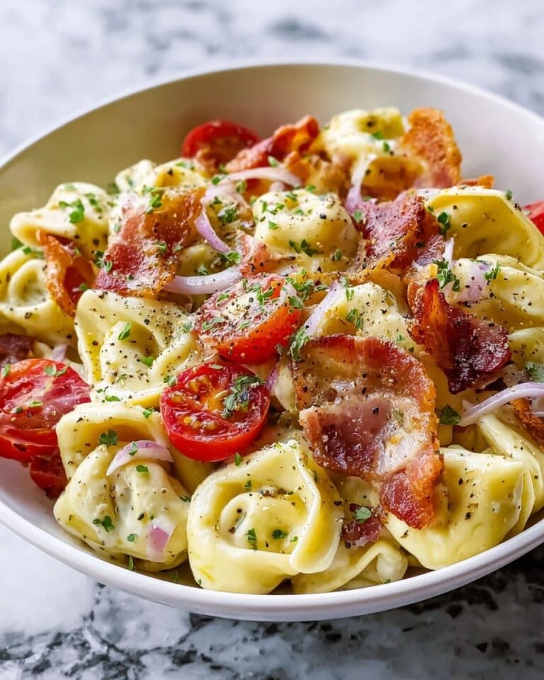 Fresh Grinder Tortellini Salad Recipe